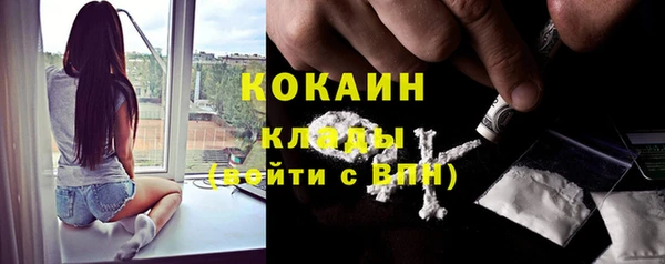 не бодяженный Бородино