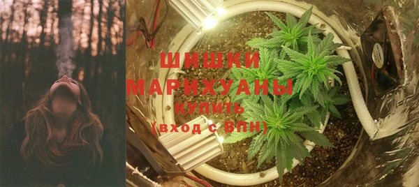 мдпв Богородск