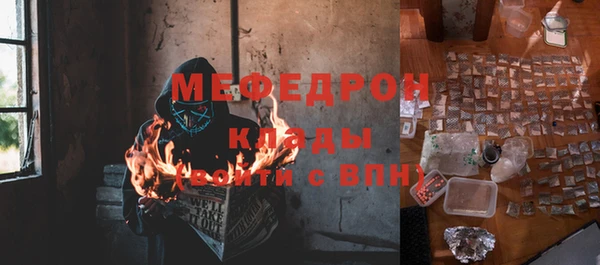 мдпв Богородск