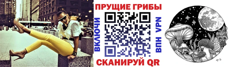 цена наркотик  мега как зайти  Псилоцибиновые грибы GOLDEN TEACHER  Эртиль 